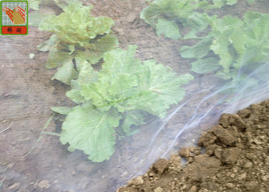 HDPE Bahan Pertanian Serangga Jaring 16 Mesh Warna Putih Ringan