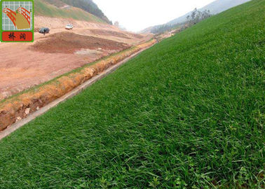 Black Color Erosion Control Net For Three Dimensional Erosion Blanket 250g / Sqm