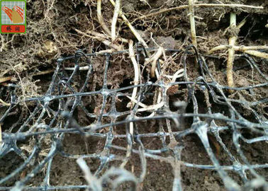 Black Color Erosion Control Net For Three Dimensional Erosion Blanket 250g / Sqm