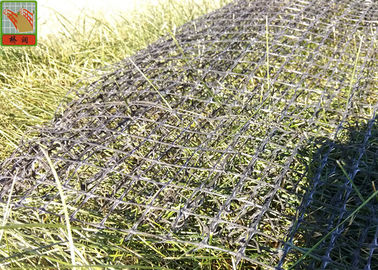 Black Color Erosion Control Net For Three Dimensional Erosion Blanket 250g / Sqm